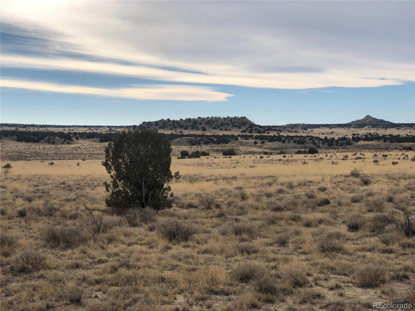Land for Sale at 40ac Cr 91.9 Model, Colorado 81059 United States