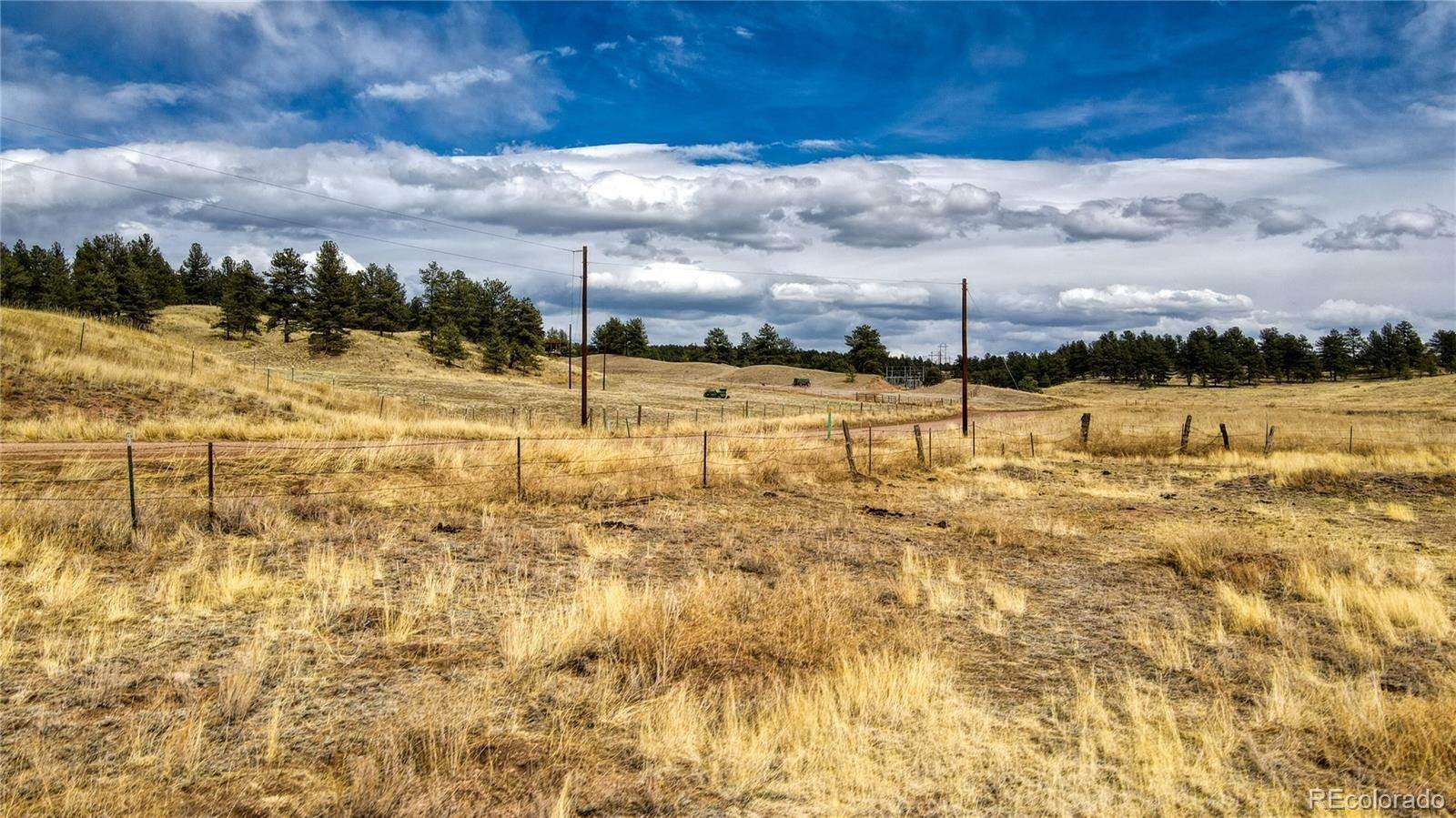 18. Land for Sale at Cr 31 Florissant, Colorado 80816 United States
