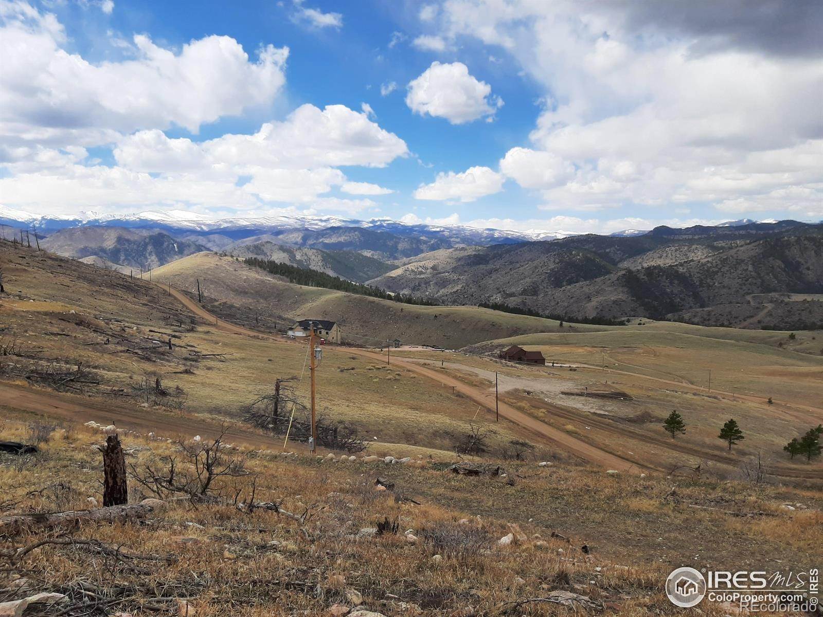 7. Land for Sale at 24 Sheep Mountain Court Livermore, Colorado 80536 United States