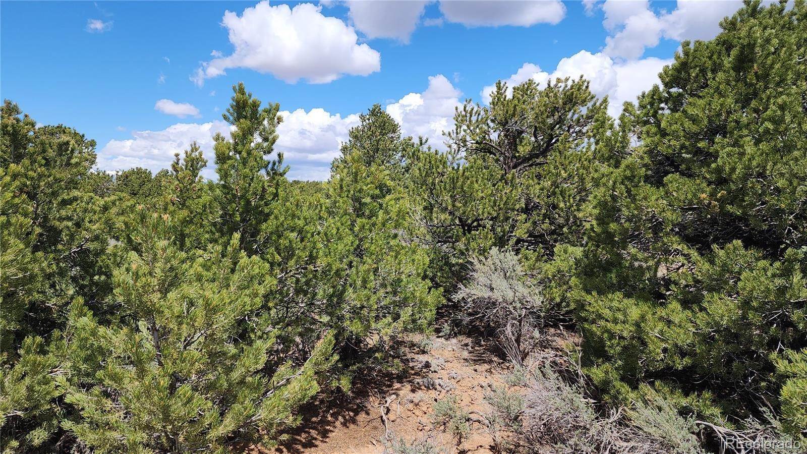 3. Land for Sale at Lot 1319 Michaels Road Fort Garland, Colorado 81133 United States