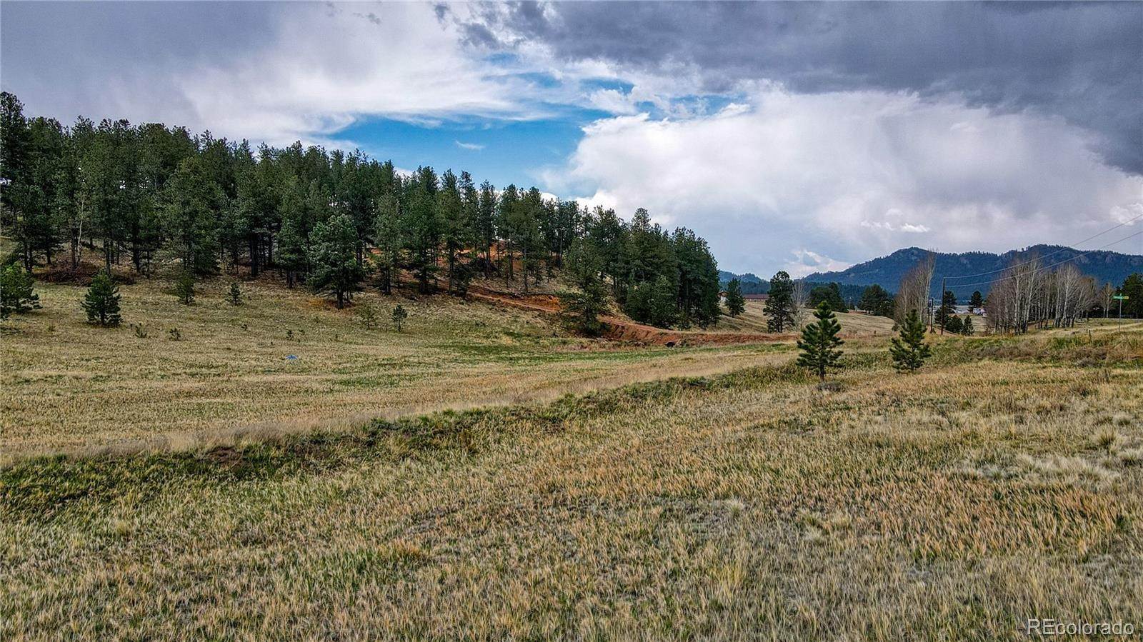 1. Land for Sale at 188 High Pasture Road Florissant, Colorado 80816 United States