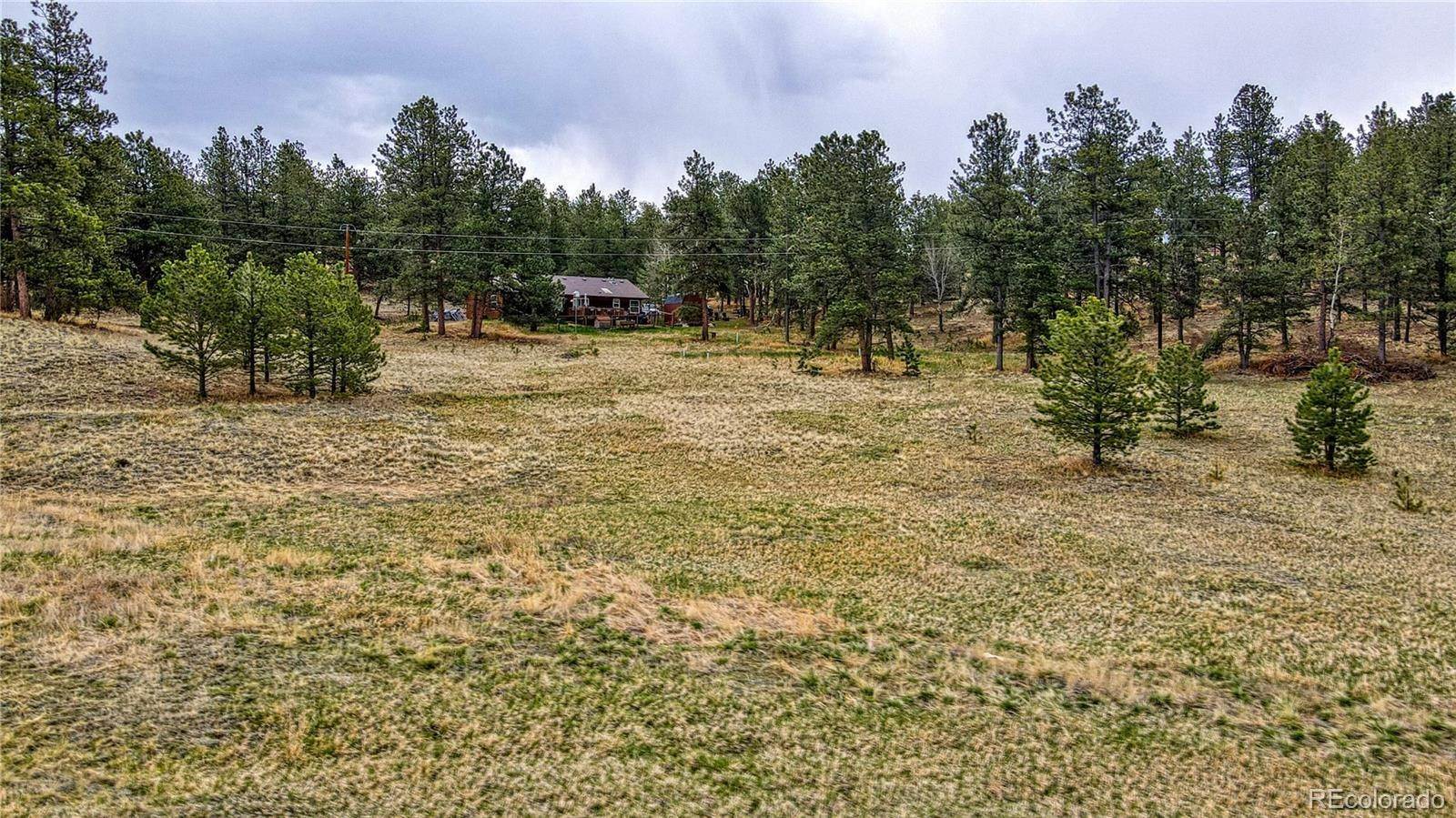 4. Land for Sale at 188 High Pasture Road Florissant, Colorado 80816 United States