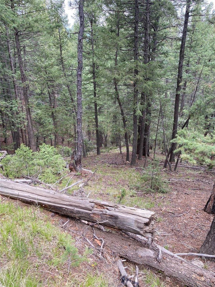10. Land for Sale at Liberty Drive Evergreen, Colorado 80439 United States
