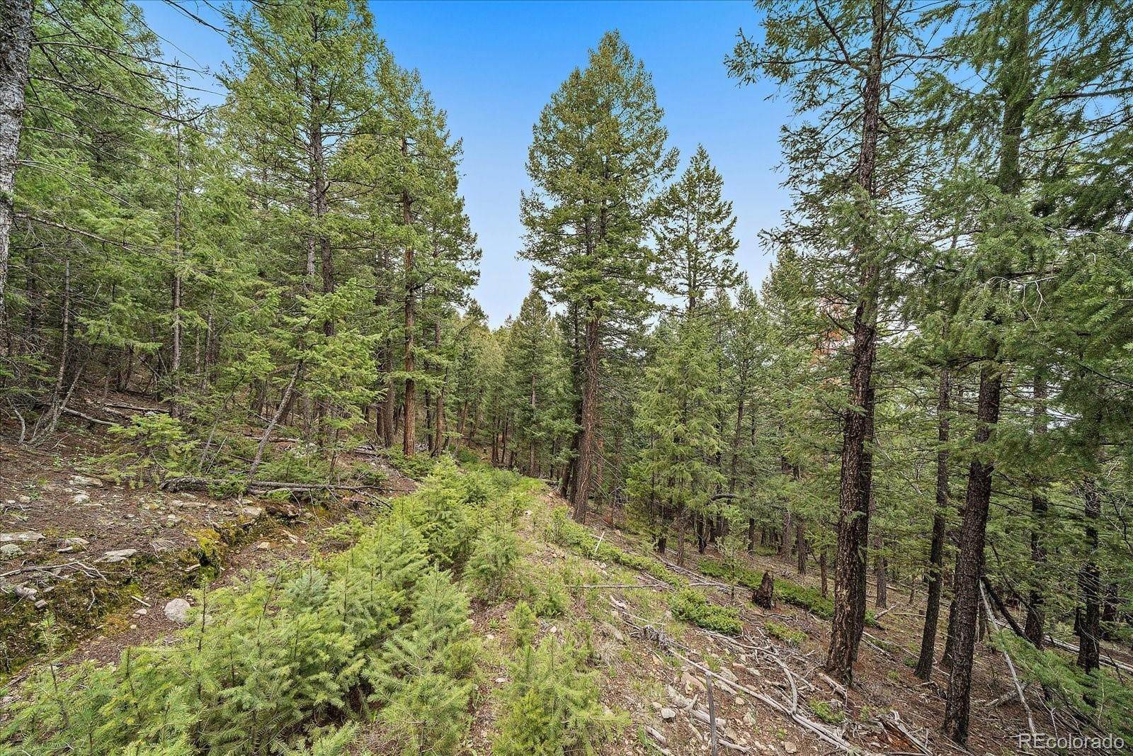 4. Land for Sale at Liberty Drive Evergreen, Colorado 80439 United States