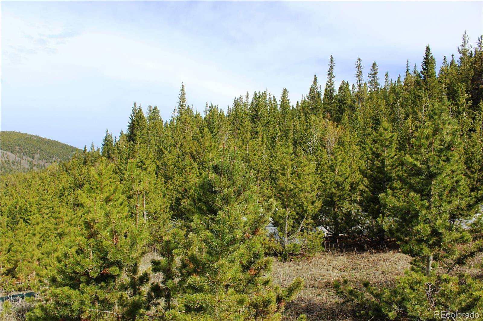 9. Land for Sale at Lot 314 Aspen Road Idaho Springs, Colorado 80452 United States