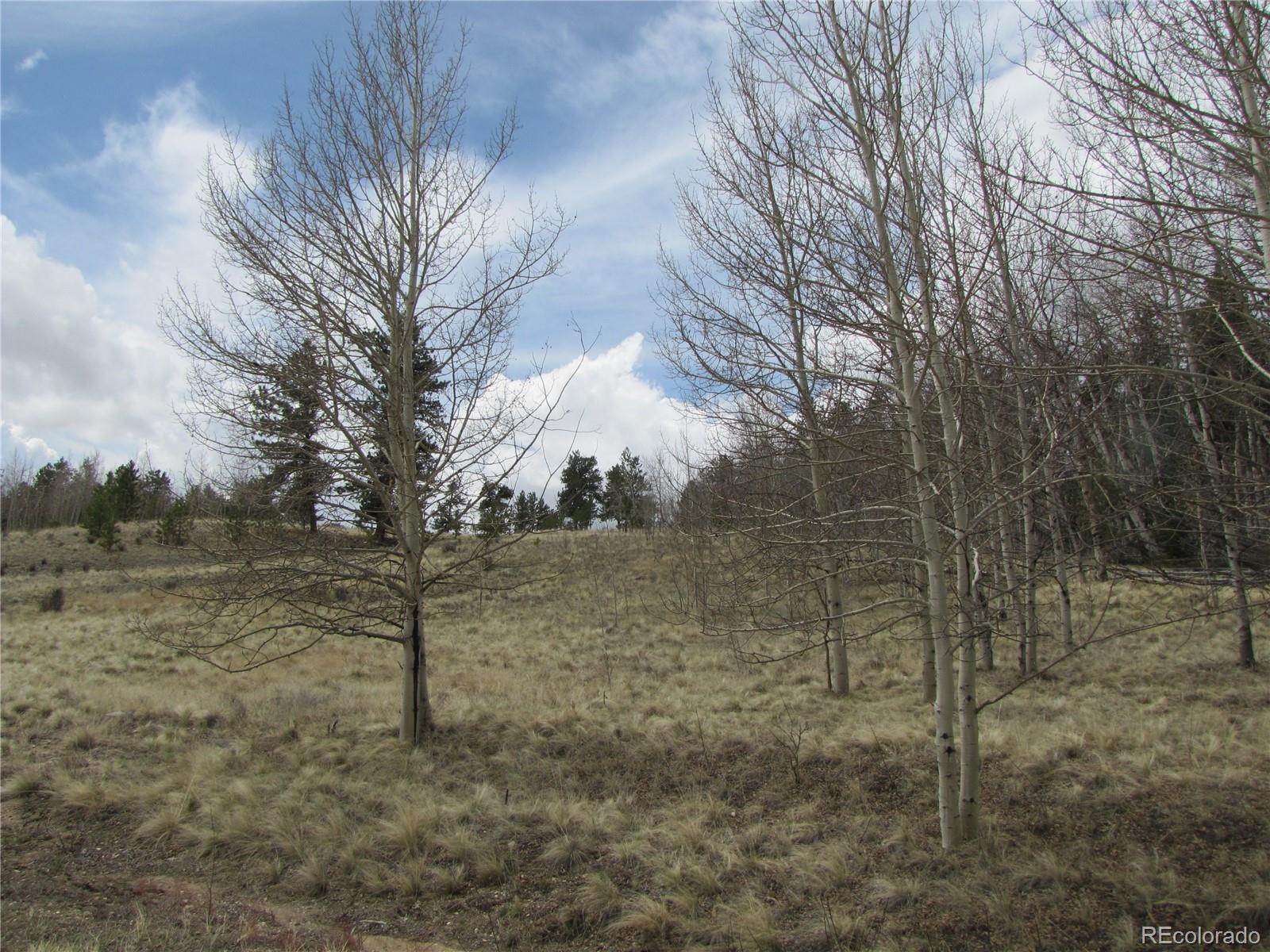 6. Land for Sale at 319 Superstition Trail Hartsel, Colorado 80449 United States