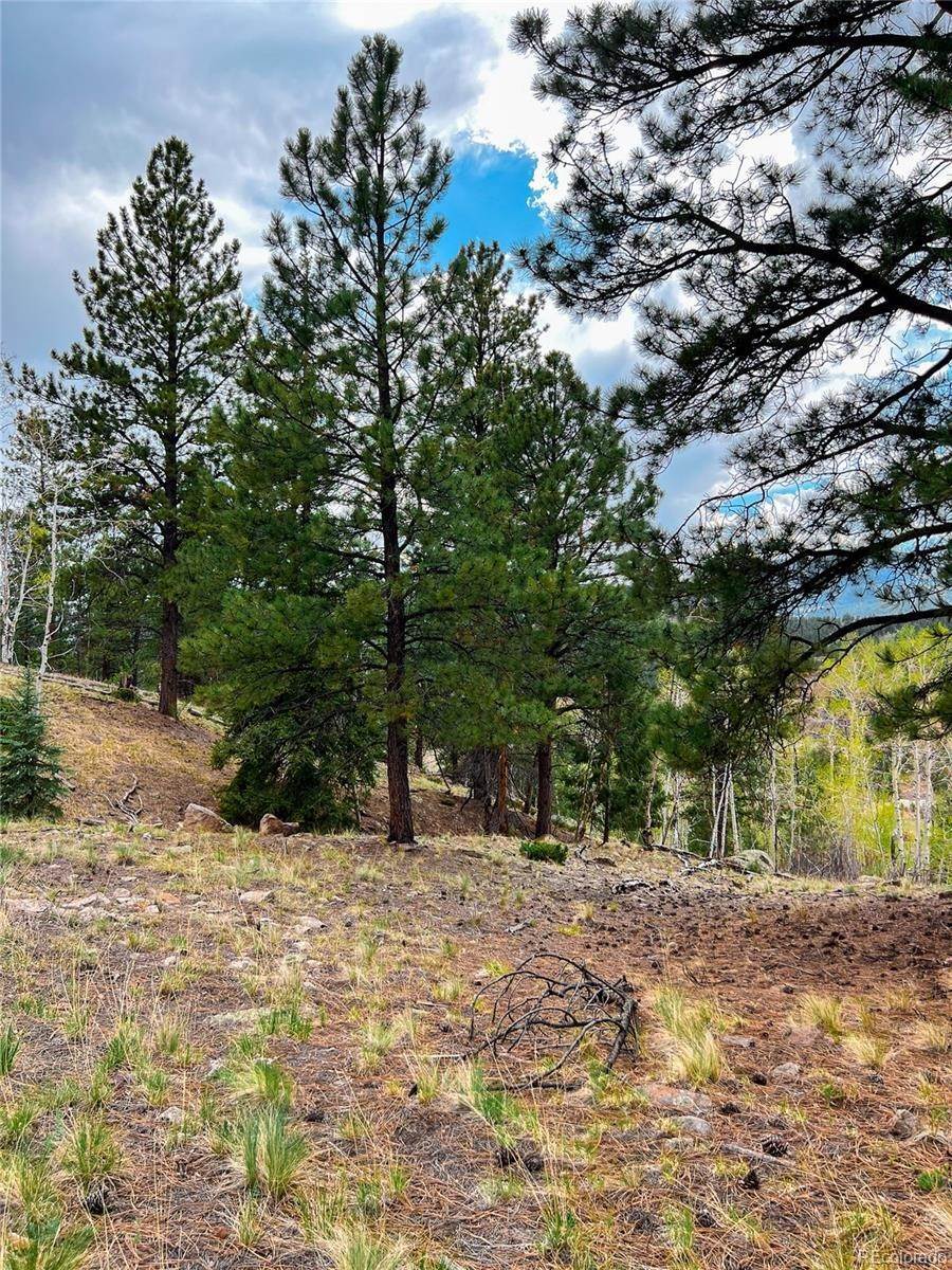 5. Land for Sale at 331 N Skyline Drive South Fork, Colorado 81154 United States