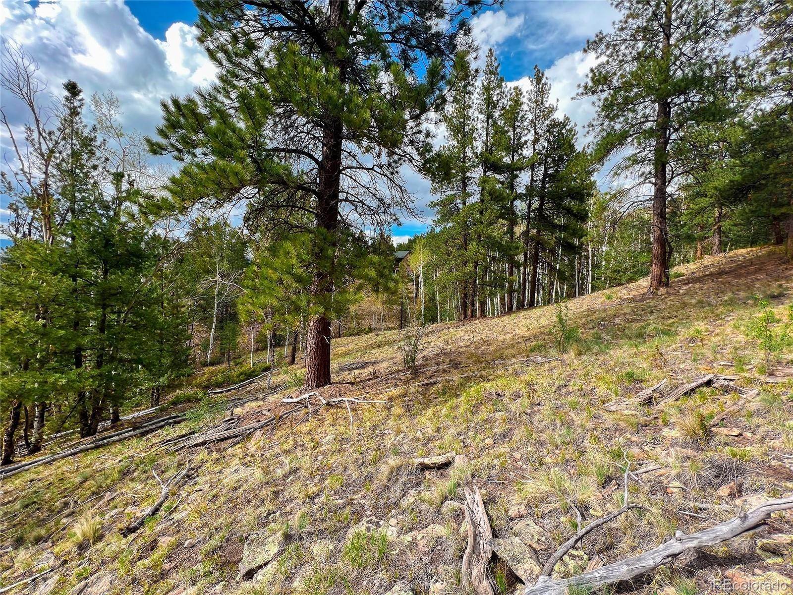 12. Land for Sale at 331 N Skyline Drive South Fork, Colorado 81154 United States