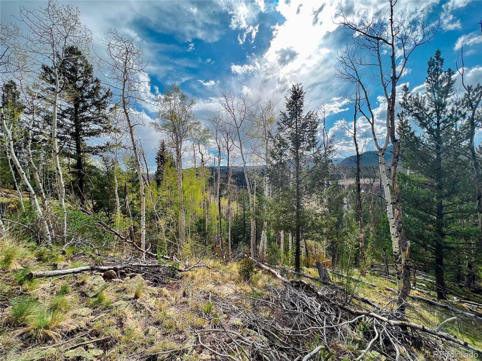 2. Land for Sale at 331 N Skyline Drive South Fork, Colorado 81154 United States