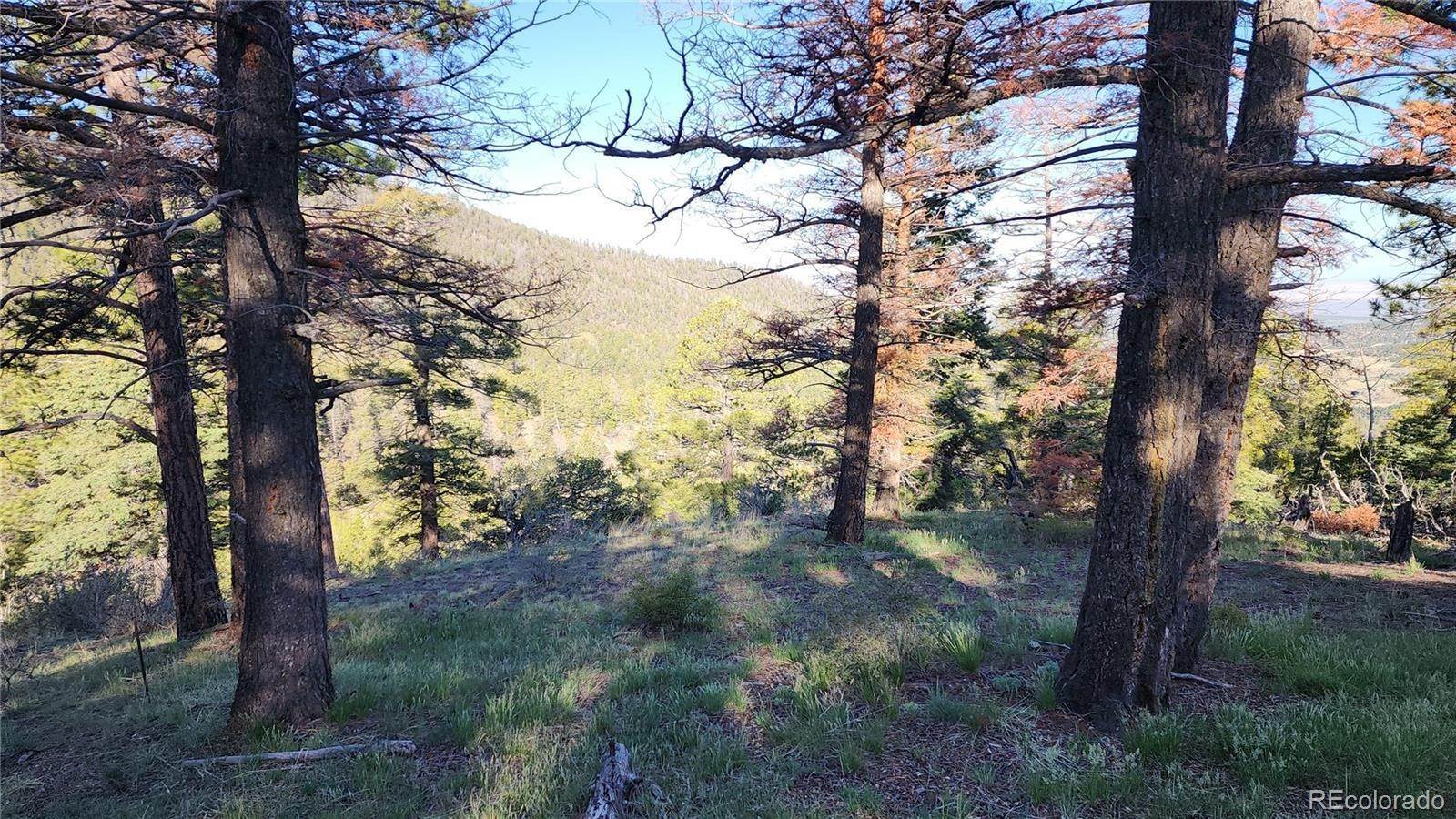 3. Land for Sale at Lot 6070 Vreeland Road San Luis, Colorado 81152 United States