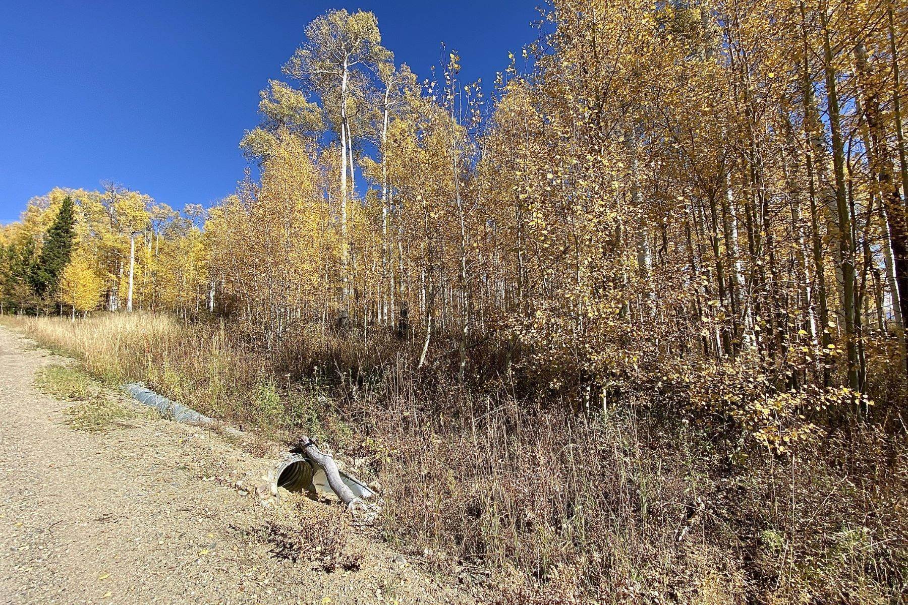 29. Land for Sale at 5+ AC in North Routt 26320 Beaver Canyon Drive Clark, Colorado 80428 United States