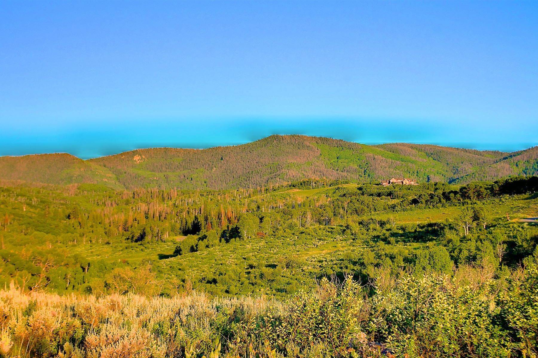 4. Land for Sale at 5 Acres in South Valley 33472 County Road 24 Steamboat Springs, Colorado 80487 United States