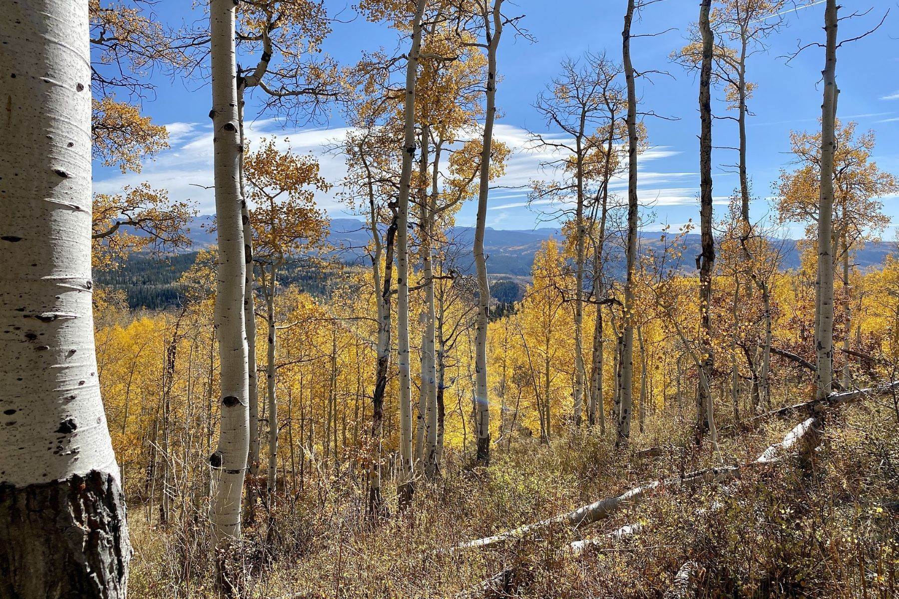 17. Land for Sale at 5+ AC in North Routt 26320 Beaver Canyon Drive Clark, Colorado 80428 United States