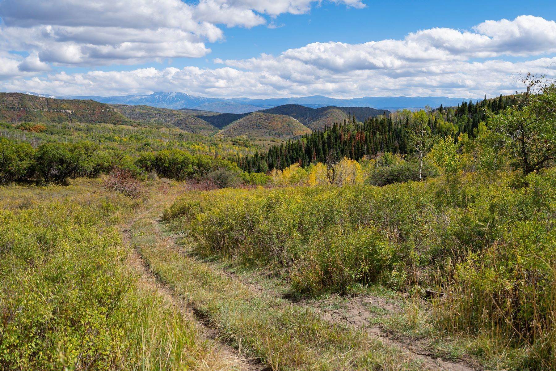 23. Farm and Ranch Properties for Sale at Utterback Ranch 39300 County Road 50 Steamboat Springs, Colorado 80487 United States